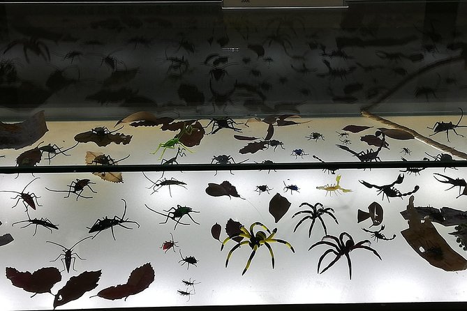 Visiting Jeju Glass Museum - Overview and Location