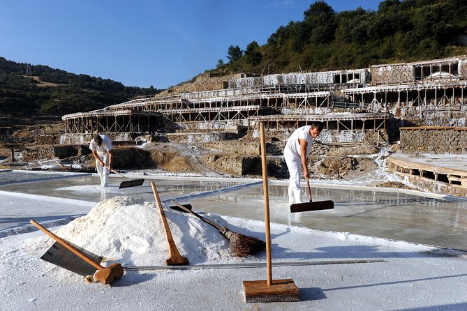 Vitoria and Añana Salt Valley Small Group Tour, Lunch Included - Booking Details