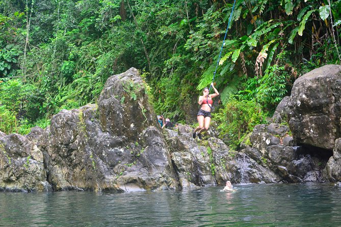 Vivid El Yunque Rain Forest Day Tour With Door-To-Door Transport - Common Questions