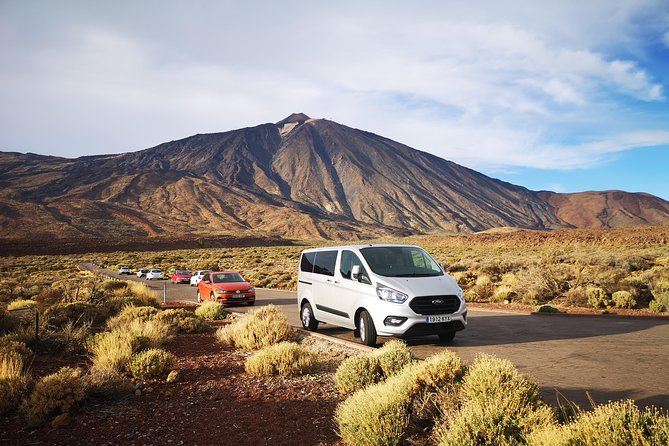 VOLCANO TEIDE NATIONAL PARK Half-Day in a Small Group by Bus - Traveler Photos and Reviews