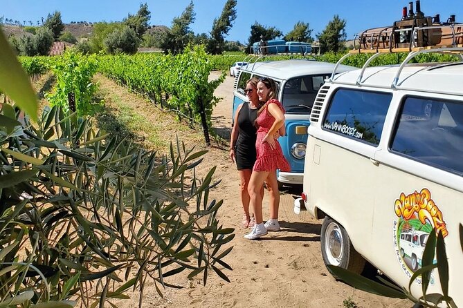 VW Bus Wine Tour of Temecula: The Ultimate California Experience - Visuals and Inspiration