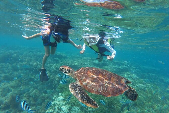 Waikiki Catamaran Cruise and Snorkeling  - Oahu - Positive Experiences