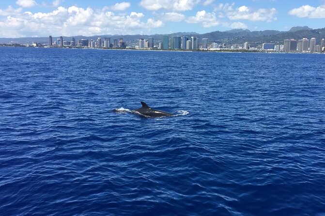 Waikiki Coast Sunrise Sailing Experience - Overview and Inclusions
