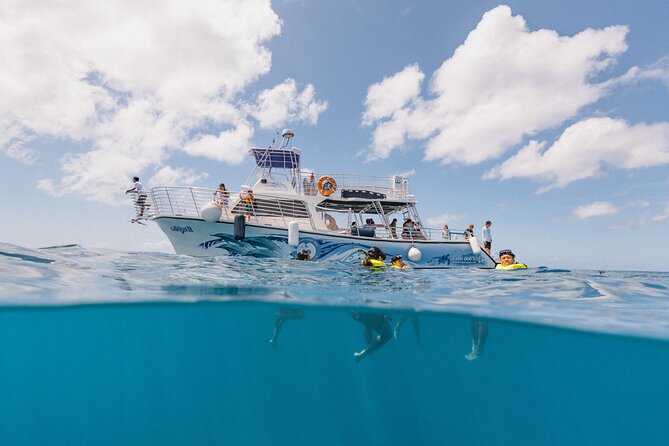 Waikiki Turtle Canyon Snorkel With Lunch and Hula Dancing - Date and Traveler Information
