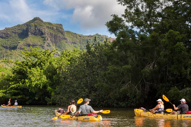 Wailua River Paddle - Guide Expertise and Knowledge