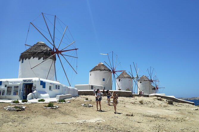 Walking Tour & Food Tasting Beach Picnic - Overview and Experience
