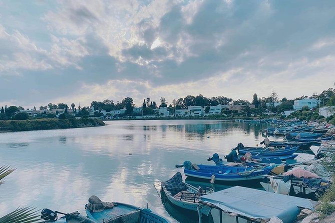 Walking Tour in Carthage - Highlights of the Walking Tour