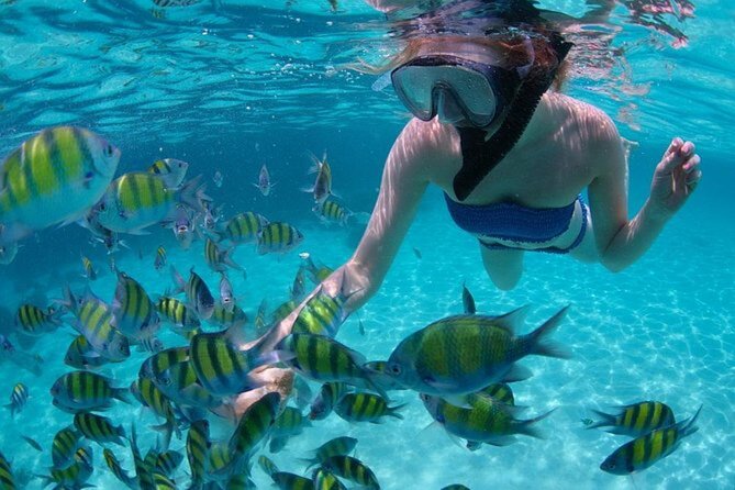 Water Activity Adventure in Los Cabos With Lunch  - Cabo San Lucas - Tour Details