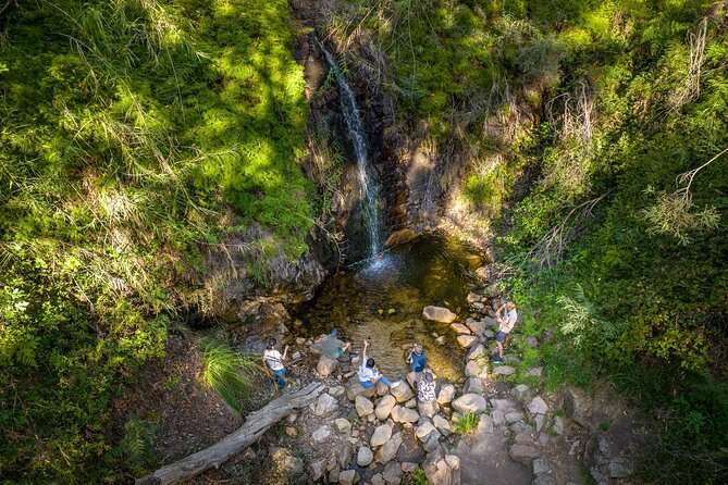 Waterfall Gully to Mt Lofty Guided Hike - Overview and Highlights