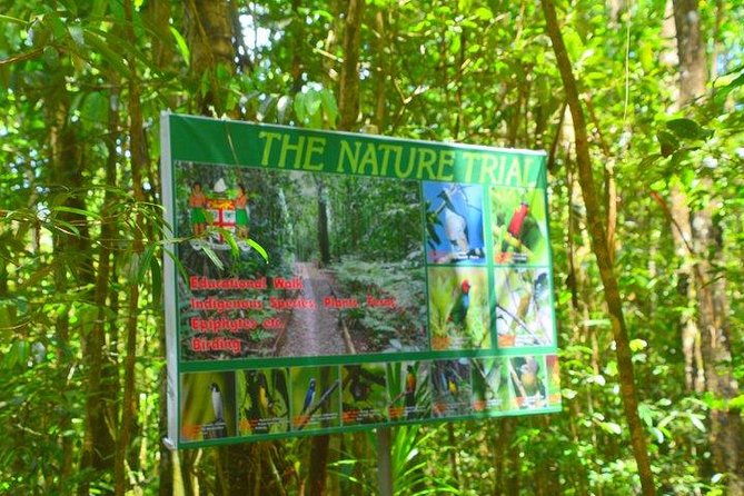 Waterfalls and Nature Tour - Tour Overview and Details