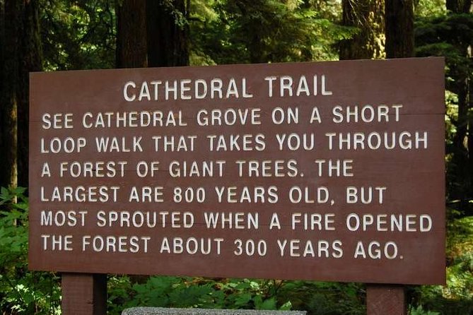 Waterfalls, Cathedral Grove Rainforest, and Coombs Adventure With Hiking - Tour Overview and Itinerary