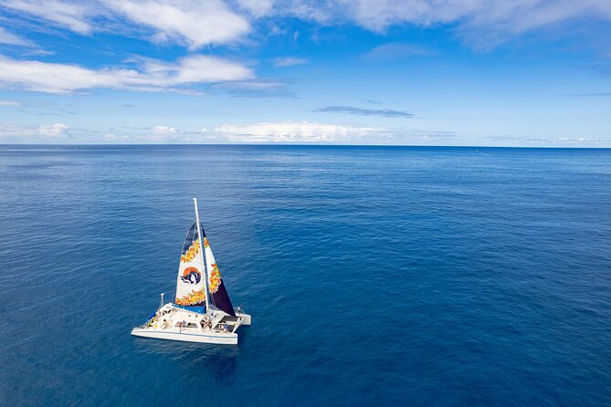 West Oahu Hawaiian Green Sea Turtle, Dolphin Snorkel Sail W Lunch - Pricing and Booking Details