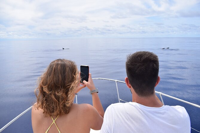 Whale and Dolphin Watching Tour in Madeira - Tour Overview and Experience