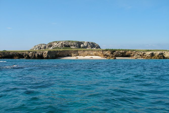Whale Watching and Snorkeling in Marietas Islands National Park - Overview of Marietas Islands National Park