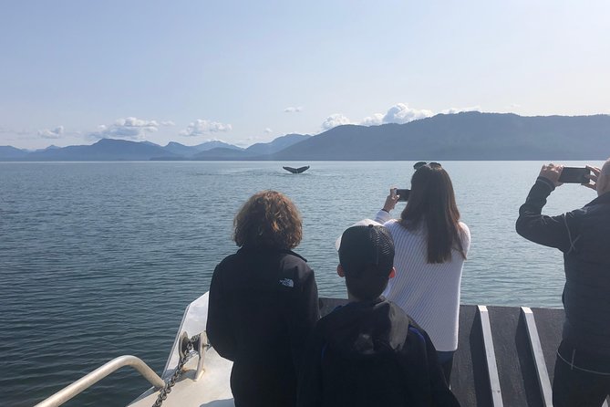 Whale Watching Charters Through Icy Strat Alaska - Overview and Experience