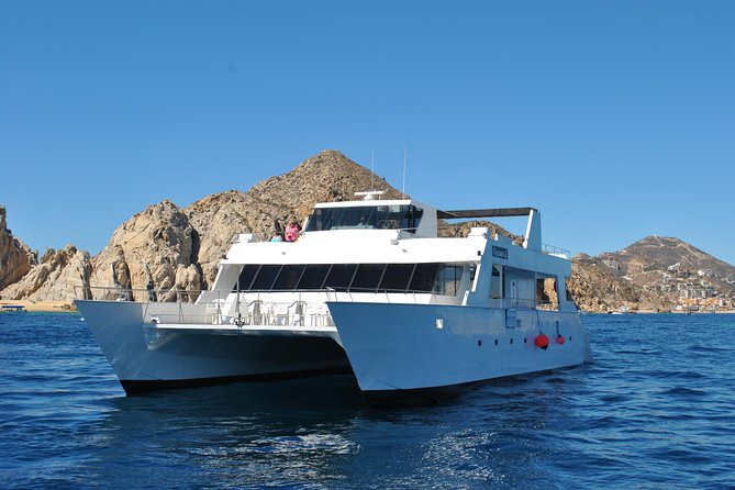 Whale Watching Cruise in Los Cabos - Cruise Details