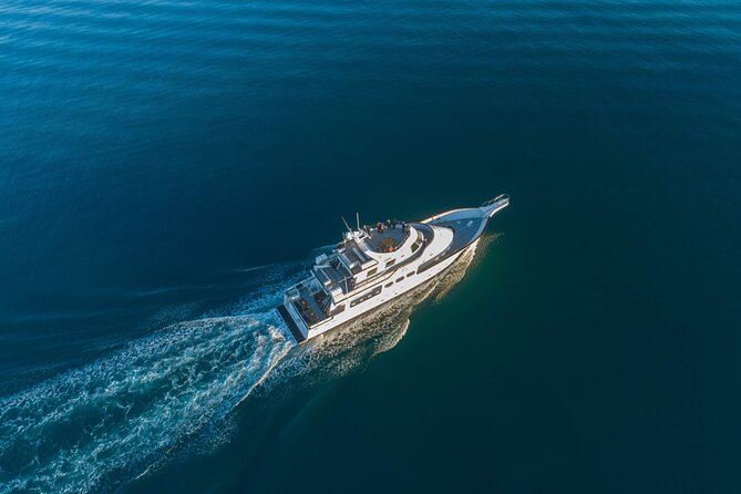 Whale Watching Cruise on a Yacht in Reykjavik - Yacht With Panoramic Views