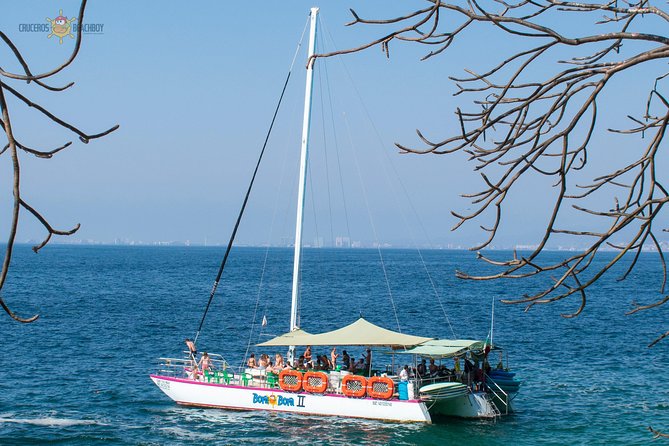 Whale Watching Expedition - Overview and Experience
