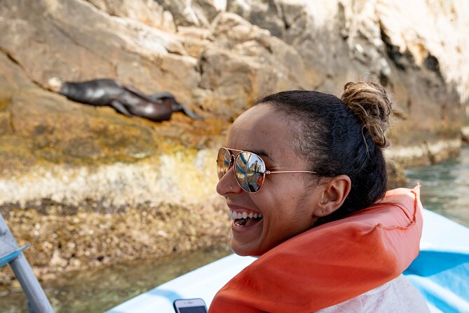 Whale Watching in Cabo San Lucas: Sightseeing Cruise and Shopping - Trip Overview and Details
