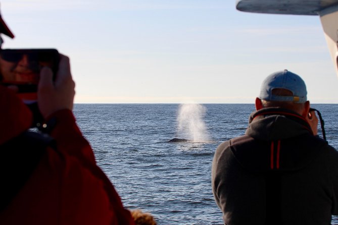 Whale Watching & Sightseeing Tour in Ucluelet, Vancouver Island - Meeting and Pickup Information