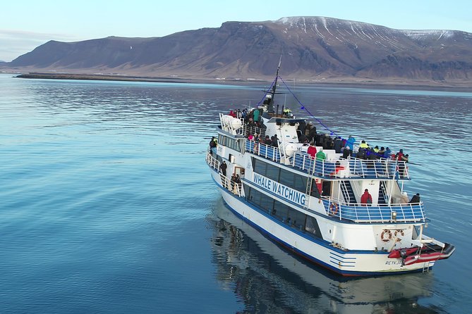 Whale-Watching Tour From Reykjavik - Pricing and Booking Options