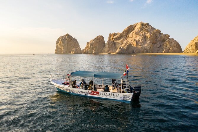 Whale Watching Tour in Cabo San Lucas - Booking Details