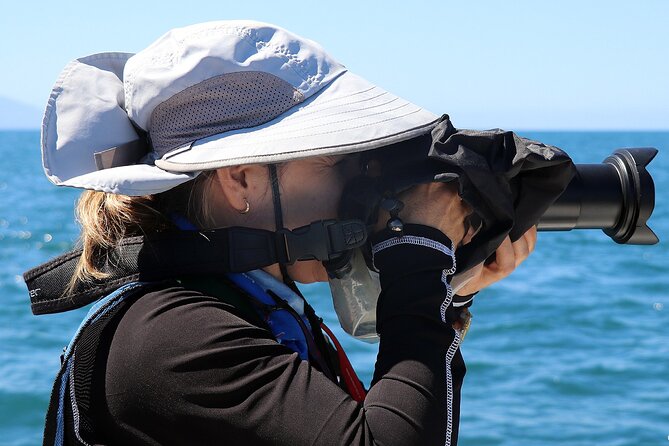 Whale Watching Tour Leaded by Biologist at 1 Pm - Biologist-led Experience