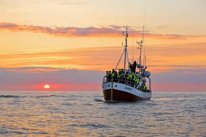 Whales and Puffins Tour From Husavik - Tour Details and Inclusions