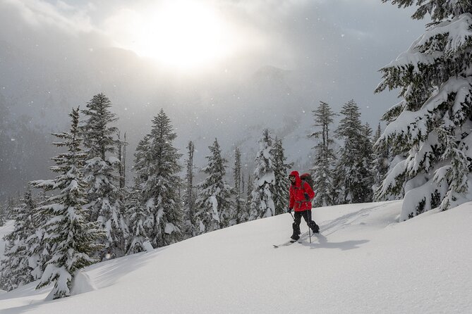 Whistler Backcountry Skiing and Splitboarding - Pricing and Booking