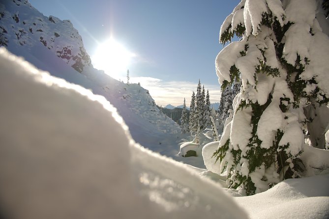 Whistler Small-Group Full-Day Snowshoe Tour - Pricing and Booking