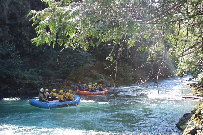 White Salmon River Rafting Half Day - Overview and Trip Details
