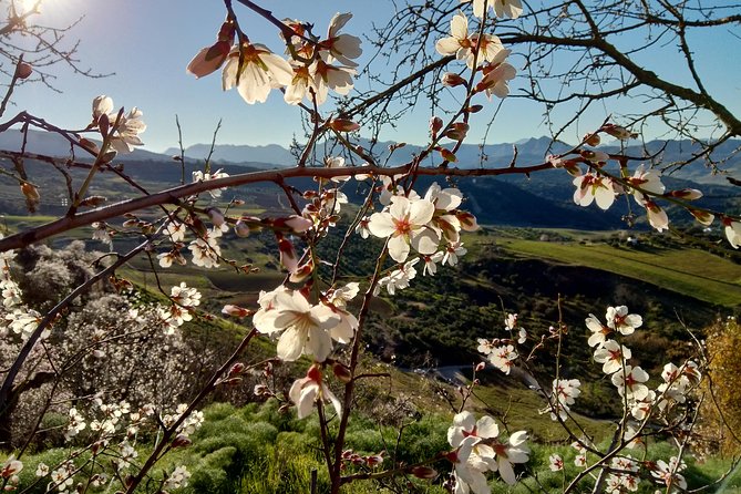 White Villages and Ronda Two Days Tour From Seville - Accommodation Details
