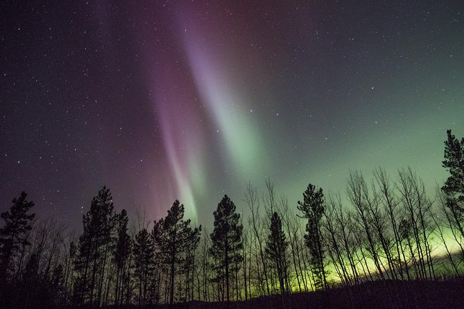 Whitehorse Aurora Tour - Tour Overview and Details