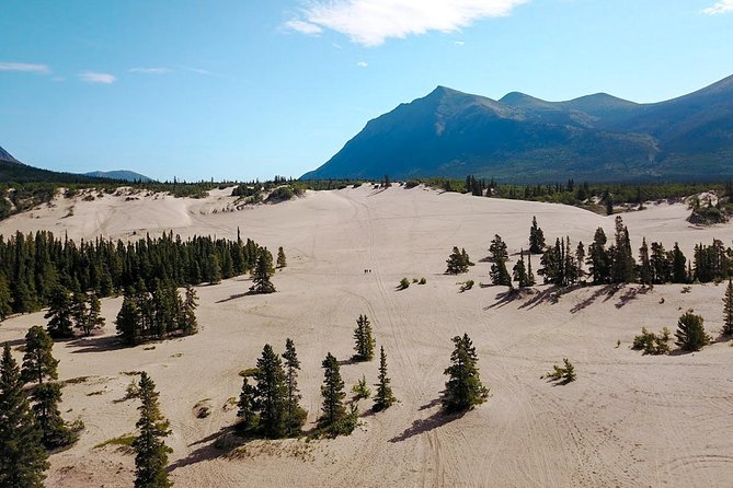 Whitehorse Small-Group Skagway Day Tour - Tour Highlights