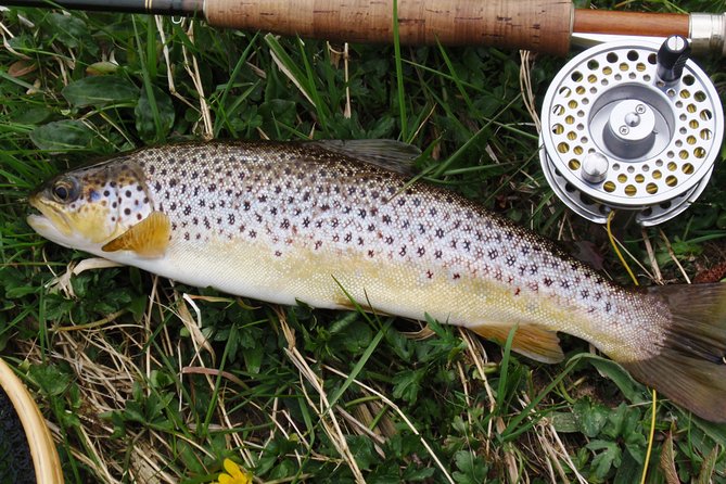 Wild Brown Trout Fly Fishing With Guide on Lough Corrib, County Galway. - Trip Overview