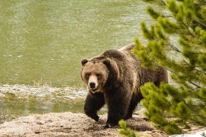 Wildlife and Waterfalls - Duration and Pickup