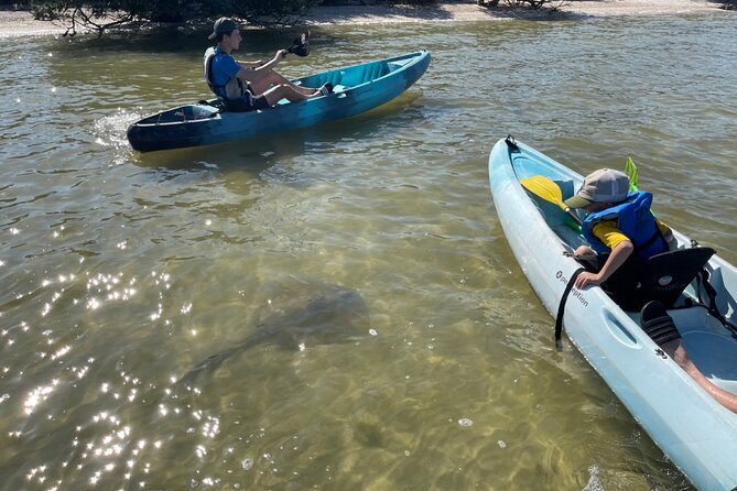 Wildlife Refuge Sunset Dolphin, Manatee & Mangrove Kayak or Paddleboarding Tour! - Tour Overview and Activities