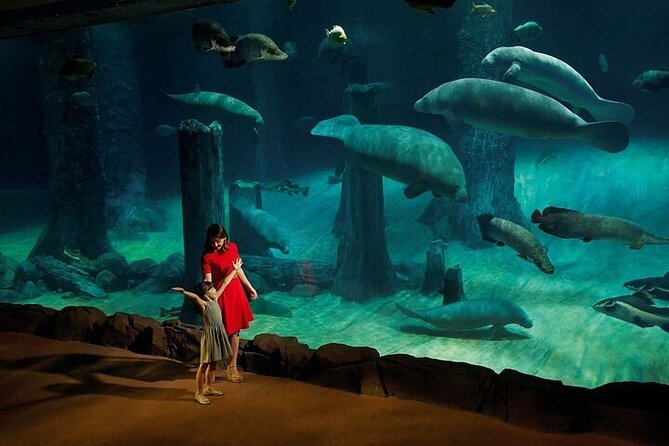 Wildlife River Wonders and Night Safari(Combo)Roundtrip Transfer - Duration and Shared Tour Details