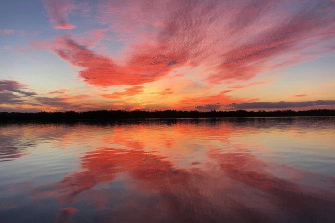 Wildlife Tour of Indian River Lagoon With Experienced Captain - Tour Experience and Highlights