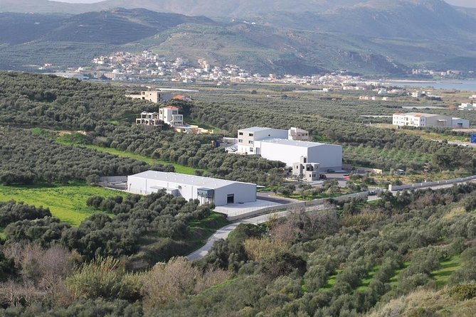 Wine, Beer, Olive Oil Tasting Private Tour (Price per Group of 6) - Reviews and Ratings