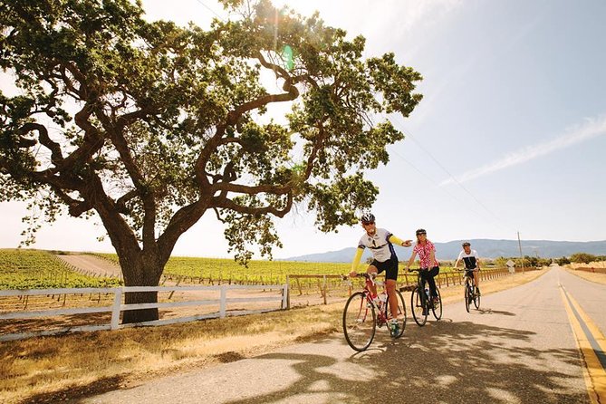 Wine Country Farm to Table Bike Tour - Lunch Included - Itinerary