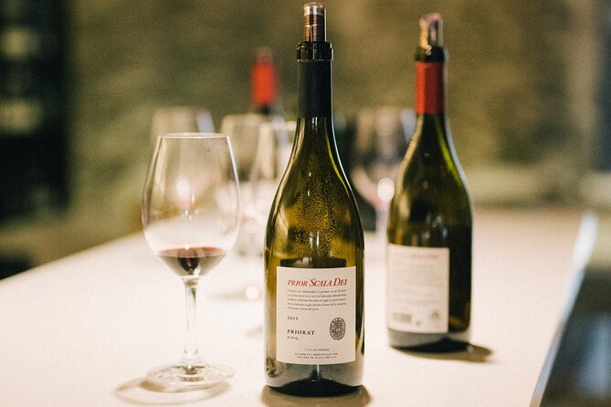 Wine Course in Saint-Emilion Followed by a Tasting - Overview and Details