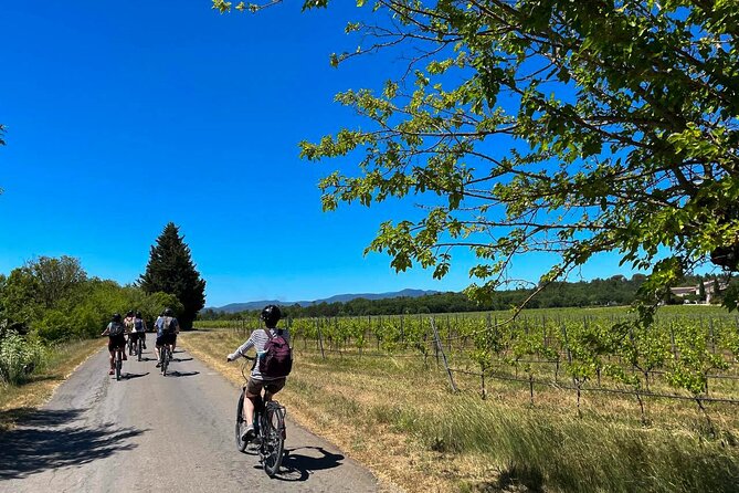 Wine Excursion by Electric Bike Guided by GPS Vallon Pont Darc - GPS-Guided Route