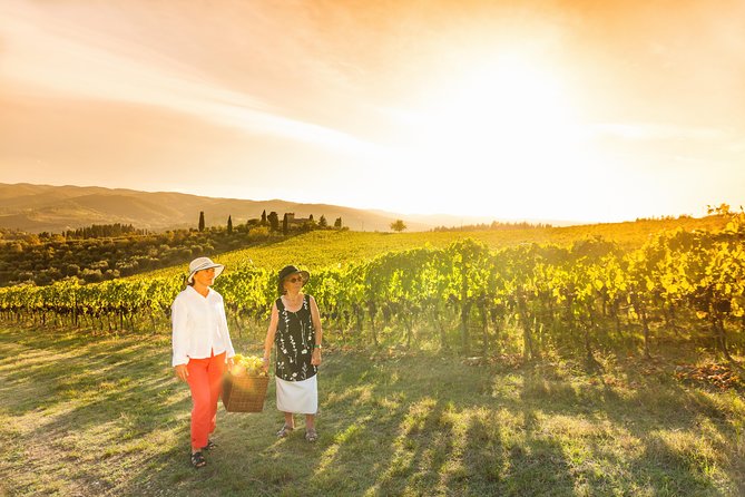 Wine Experience Bologna Hills - Cancellation Policy