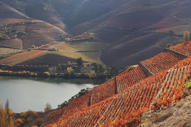 Wine Experience With a Sommelier - The Importance of Wine Education