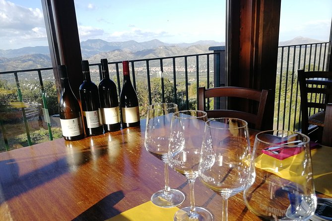 Wine Tasting and Village Tour From Taormina - Overview of the Wine Tasting Tour