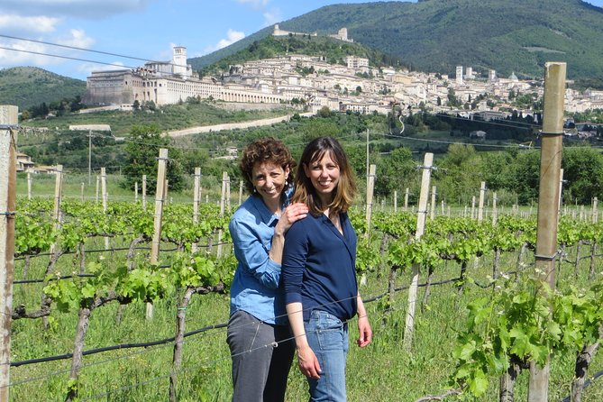 Wine Tasting and Walk in the Vineyard of Assisi - Wine Tasting Experience