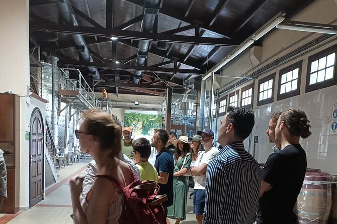 Wine Tasting Experience From Thessaloniki - Booking Confirmation and Accessibility