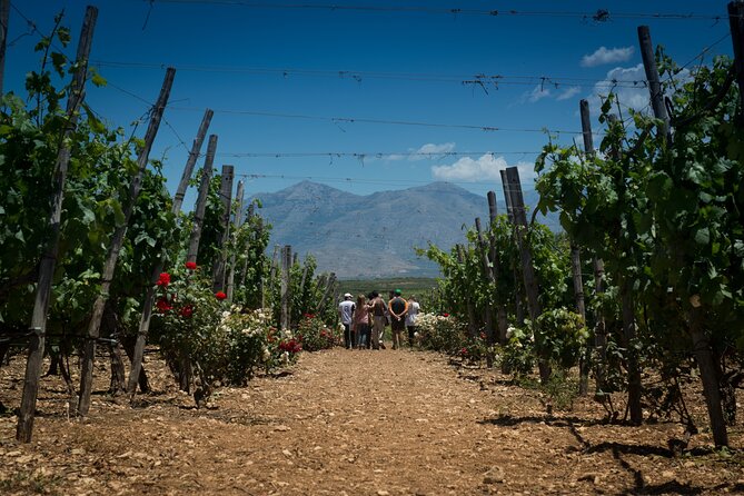 Wine Tasting Experience @ Lyrarakis Winery (Transfer Included) - General Information