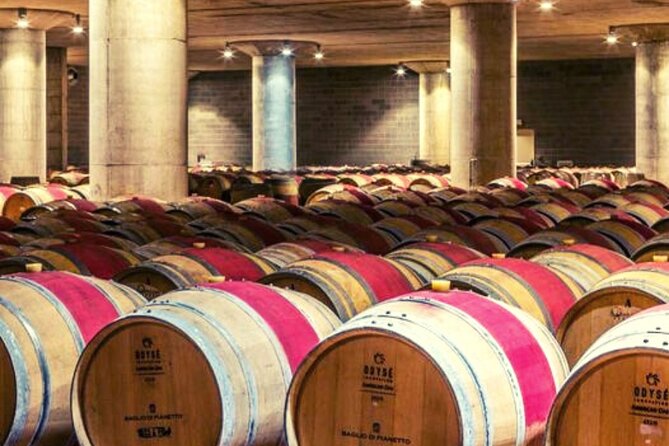 Wine Tasting for Small Groups in the Palermo Countryside - Wine Tasting Experiences